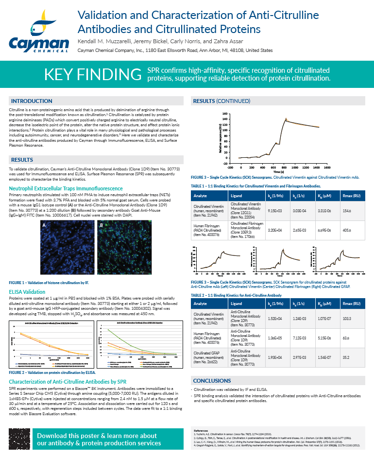 Validation and Characterization of Anti-Citrulline Antibodies and Citrullinated Proteins<br>